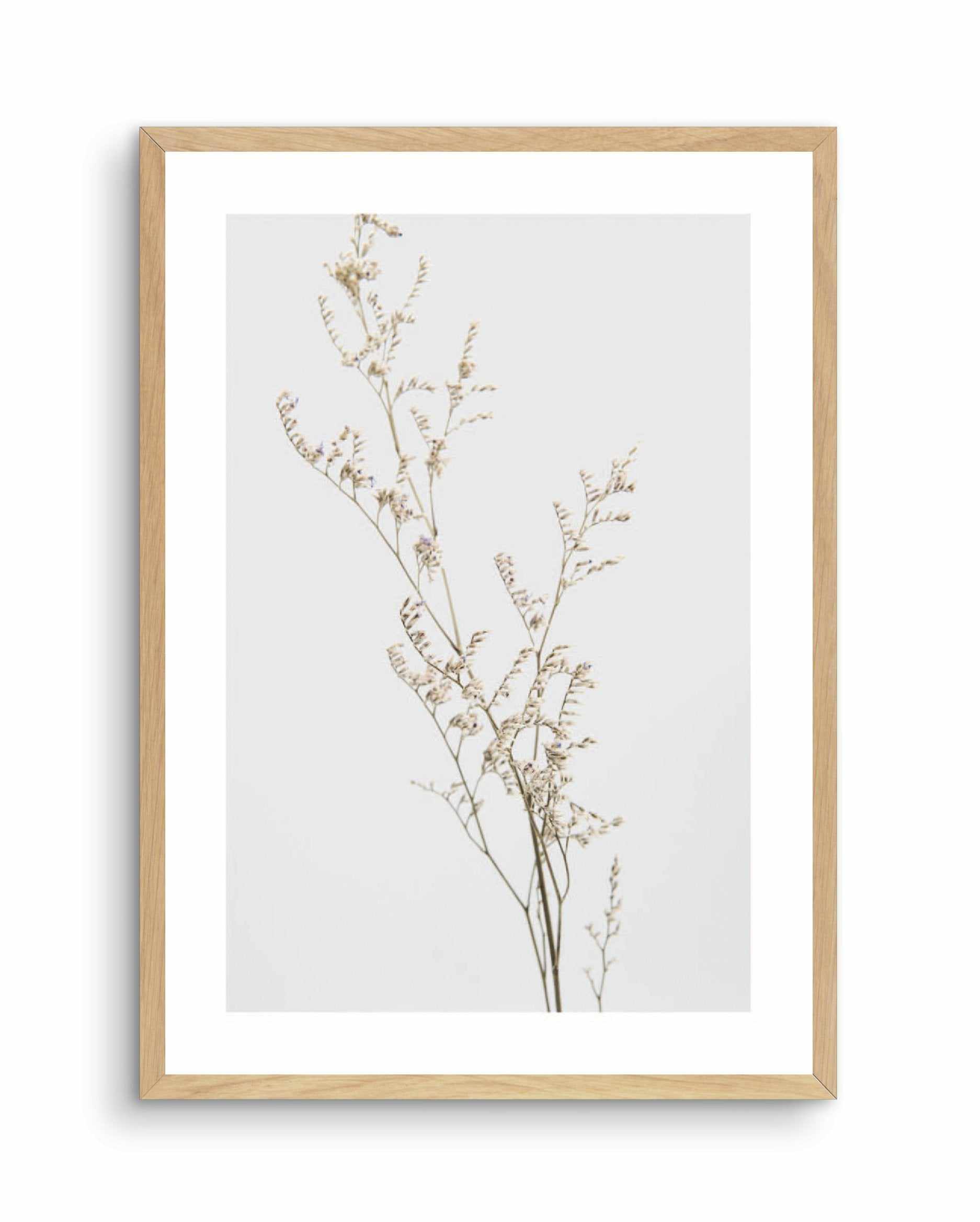 Petite Fleur Art Print-PRINT-Olive et Oriel-Olive et Oriel-A4 | 8.3" x 11.7" | 21 x 29.7cm-Oak-With White Border-Buy-Australian-Art-Prints-Online-with-Olive-et-Oriel-Your-Artwork-Specialists-Austrailia-Decorate-With-Coastal-Photo-Wall-Art-Prints-From-Our-Beach-House-Artwork-Collection-Fine-Poster-and-Framed-Artwork