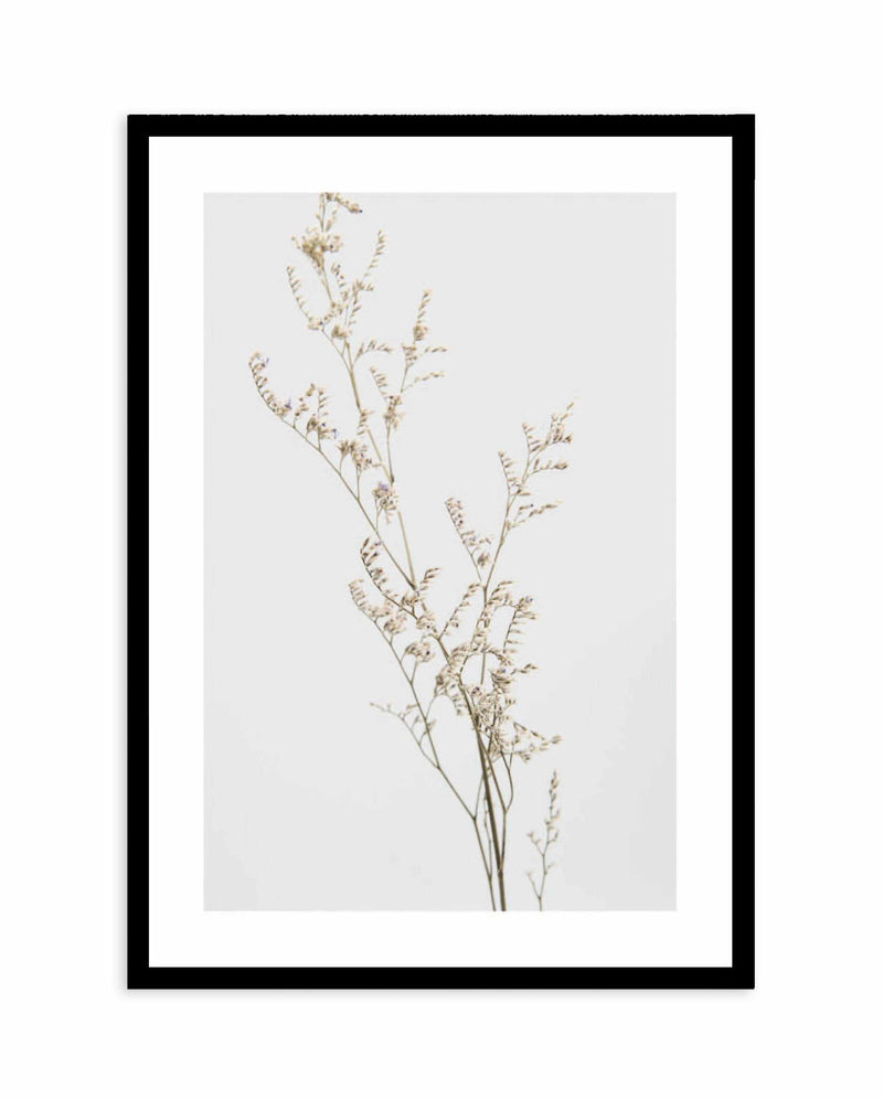 Petite Fleur Art Print-PRINT-Olive et Oriel-Olive et Oriel-A4 | 8.3" x 11.7" | 21 x 29.7cm-Black-With White Border-Buy-Australian-Art-Prints-Online-with-Olive-et-Oriel-Your-Artwork-Specialists-Austrailia-Decorate-With-Coastal-Photo-Wall-Art-Prints-From-Our-Beach-House-Artwork-Collection-Fine-Poster-and-Framed-Artwork