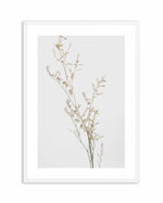 Petite Fleur Art Print-PRINT-Olive et Oriel-Olive et Oriel-A4 | 8.3" x 11.7" | 21 x 29.7cm-White-With White Border-Buy-Australian-Art-Prints-Online-with-Olive-et-Oriel-Your-Artwork-Specialists-Austrailia-Decorate-With-Coastal-Photo-Wall-Art-Prints-From-Our-Beach-House-Artwork-Collection-Fine-Poster-and-Framed-Artwork