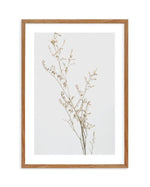 Petite Fleur Art Print-PRINT-Olive et Oriel-Olive et Oriel-50x70 cm | 19.6" x 27.5"-Walnut-With White Border-Buy-Australian-Art-Prints-Online-with-Olive-et-Oriel-Your-Artwork-Specialists-Austrailia-Decorate-With-Coastal-Photo-Wall-Art-Prints-From-Our-Beach-House-Artwork-Collection-Fine-Poster-and-Framed-Artwork