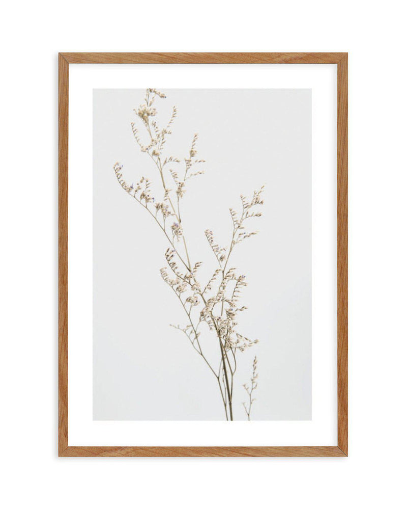 Petite Fleur Art Print-PRINT-Olive et Oriel-Olive et Oriel-50x70 cm | 19.6" x 27.5"-Walnut-With White Border-Buy-Australian-Art-Prints-Online-with-Olive-et-Oriel-Your-Artwork-Specialists-Austrailia-Decorate-With-Coastal-Photo-Wall-Art-Prints-From-Our-Beach-House-Artwork-Collection-Fine-Poster-and-Framed-Artwork