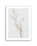 Petite Fleur Art Print-PRINT-Olive et Oriel-Olive et Oriel-A5 | 5.8" x 8.3" | 14.8 x 21cm-Unframed Art Print-With White Border-Buy-Australian-Art-Prints-Online-with-Olive-et-Oriel-Your-Artwork-Specialists-Austrailia-Decorate-With-Coastal-Photo-Wall-Art-Prints-From-Our-Beach-House-Artwork-Collection-Fine-Poster-and-Framed-Artwork