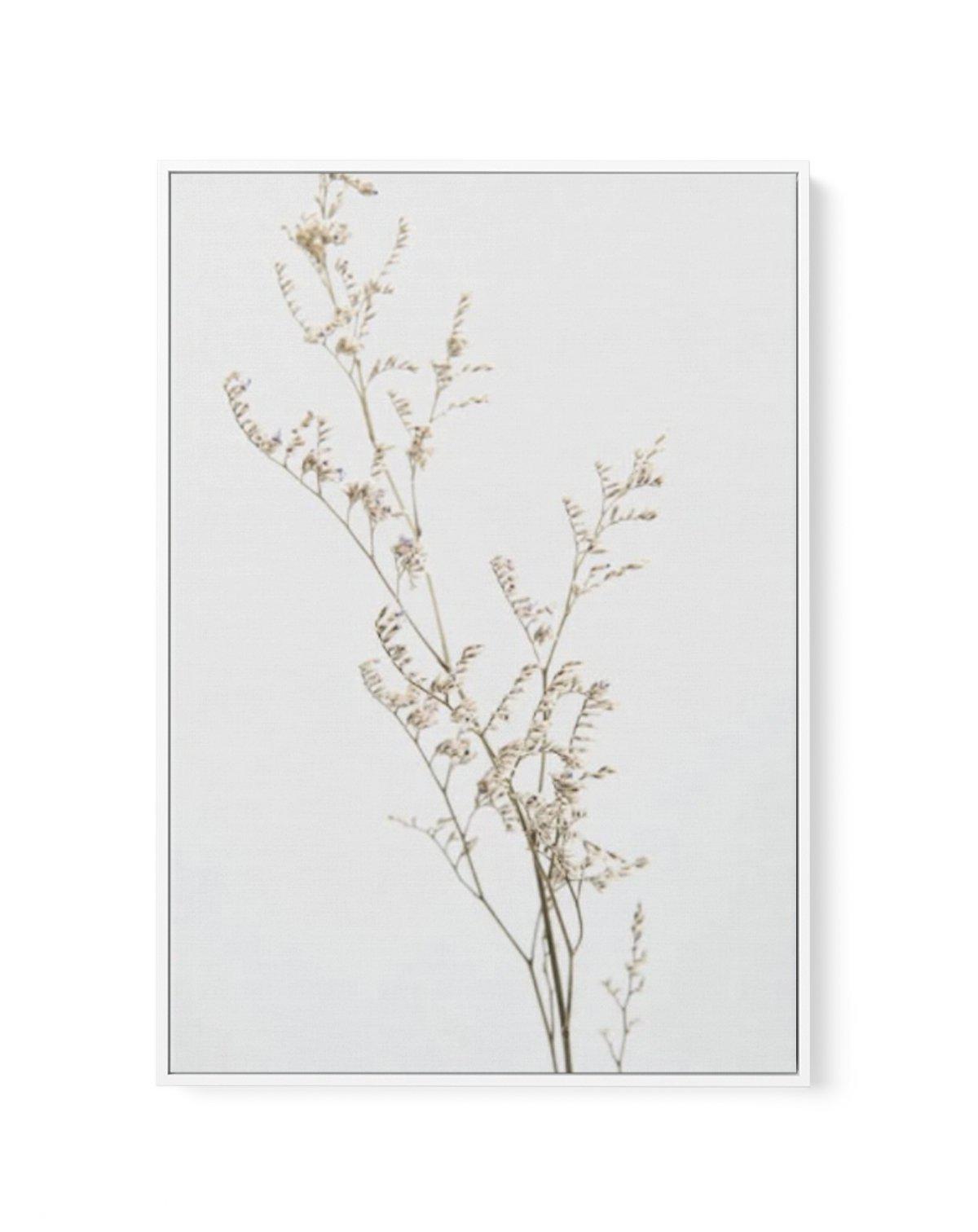 Petite Fleur | Framed Canvas-CANVAS-You can shop wall art online with Olive et Oriel for everything from abstract art to fun kids wall art. Our beautiful modern art prints and canvas art are available from large canvas prints to wall art paintings and our proudly Australian artwork collection offers only the highest quality framed large wall art and canvas art Australia - You can buy fashion photography prints or Hampton print posters and paintings on canvas from Olive et Oriel and have them del