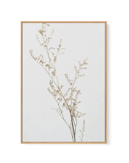 Petite Fleur | Framed Canvas-CANVAS-You can shop wall art online with Olive et Oriel for everything from abstract art to fun kids wall art. Our beautiful modern art prints and canvas art are available from large canvas prints to wall art paintings and our proudly Australian artwork collection offers only the highest quality framed large wall art and canvas art Australia - You can buy fashion photography prints or Hampton print posters and paintings on canvas from Olive et Oriel and have them del