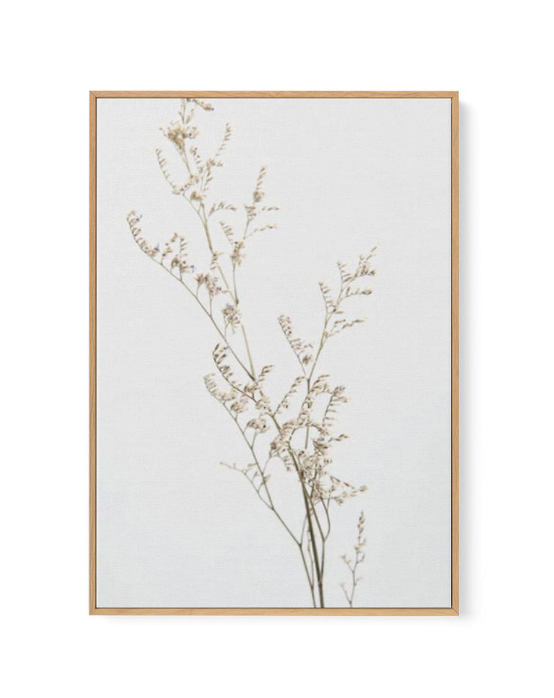 Petite Fleur | Framed Canvas-CANVAS-You can shop wall art online with Olive et Oriel for everything from abstract art to fun kids wall art. Our beautiful modern art prints and canvas art are available from large canvas prints to wall art paintings and our proudly Australian artwork collection offers only the highest quality framed large wall art and canvas art Australia - You can buy fashion photography prints or Hampton print posters and paintings on canvas from Olive et Oriel and have them del