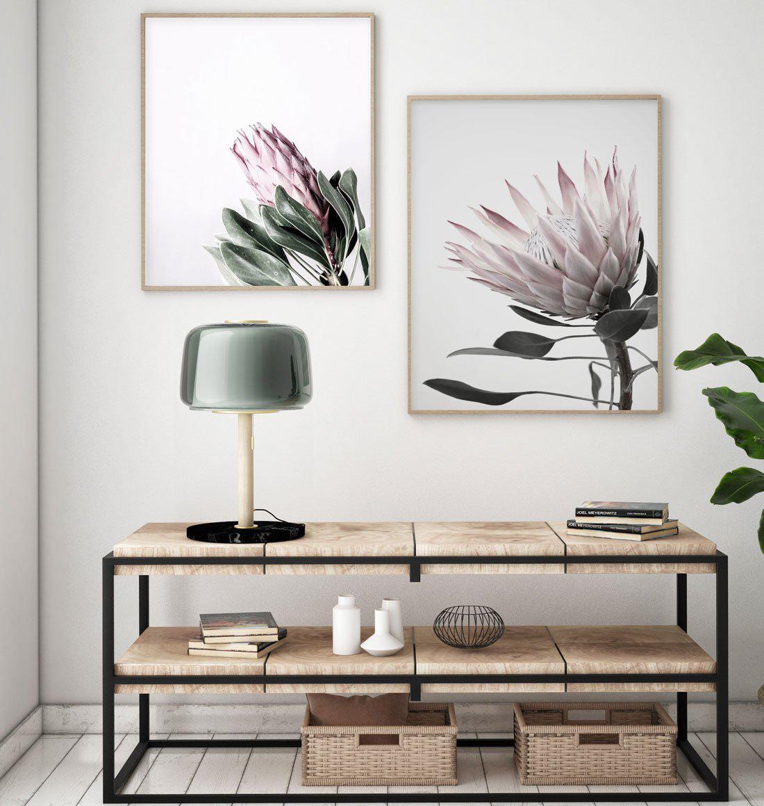 Petite Protea Art Print-PRINT-Olive et Oriel-Olive et Oriel-Buy-Australian-Art-Prints-Online-with-Olive-et-Oriel-Your-Artwork-Specialists-Austrailia-Decorate-With-Coastal-Photo-Wall-Art-Prints-From-Our-Beach-House-Artwork-Collection-Fine-Poster-and-Framed-Artwork