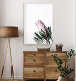 Petite Protea Art Print-PRINT-Olive et Oriel-Olive et Oriel-Buy-Australian-Art-Prints-Online-with-Olive-et-Oriel-Your-Artwork-Specialists-Austrailia-Decorate-With-Coastal-Photo-Wall-Art-Prints-From-Our-Beach-House-Artwork-Collection-Fine-Poster-and-Framed-Artwork