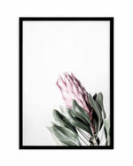 Petite Protea Art Print-PRINT-Olive et Oriel-Olive et Oriel-A5 | 5.8" x 8.3" | 14.8 x 21cm-Black-With White Border-Buy-Australian-Art-Prints-Online-with-Olive-et-Oriel-Your-Artwork-Specialists-Austrailia-Decorate-With-Coastal-Photo-Wall-Art-Prints-From-Our-Beach-House-Artwork-Collection-Fine-Poster-and-Framed-Artwork