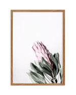 Petite Protea Art Print-PRINT-Olive et Oriel-Olive et Oriel-50x70 cm | 19.6" x 27.5"-Walnut-With White Border-Buy-Australian-Art-Prints-Online-with-Olive-et-Oriel-Your-Artwork-Specialists-Austrailia-Decorate-With-Coastal-Photo-Wall-Art-Prints-From-Our-Beach-House-Artwork-Collection-Fine-Poster-and-Framed-Artwork
