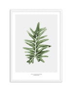 Philodenron Palm Art Print-PRINT-Olive et Oriel-Olive et Oriel-A5 | 5.8" x 8.3" | 14.8 x 21cm-White-With White Border-Buy-Australian-Art-Prints-Online-with-Olive-et-Oriel-Your-Artwork-Specialists-Austrailia-Decorate-With-Coastal-Photo-Wall-Art-Prints-From-Our-Beach-House-Artwork-Collection-Fine-Poster-and-Framed-Artwork