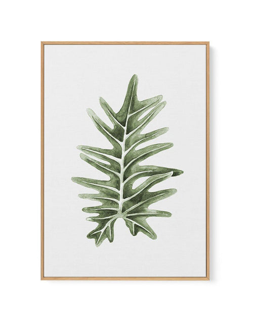 Philodenron Palm | Framed Canvas-CANVAS-You can shop wall art online with Olive et Oriel for everything from abstract art to fun kids wall art. Our beautiful modern art prints and canvas art are available from large canvas prints to wall art paintings and our proudly Australian artwork collection offers only the highest quality framed large wall art and canvas art Australia - You can buy fashion photography prints or Hampton print posters and paintings on canvas from Olive et Oriel and have them