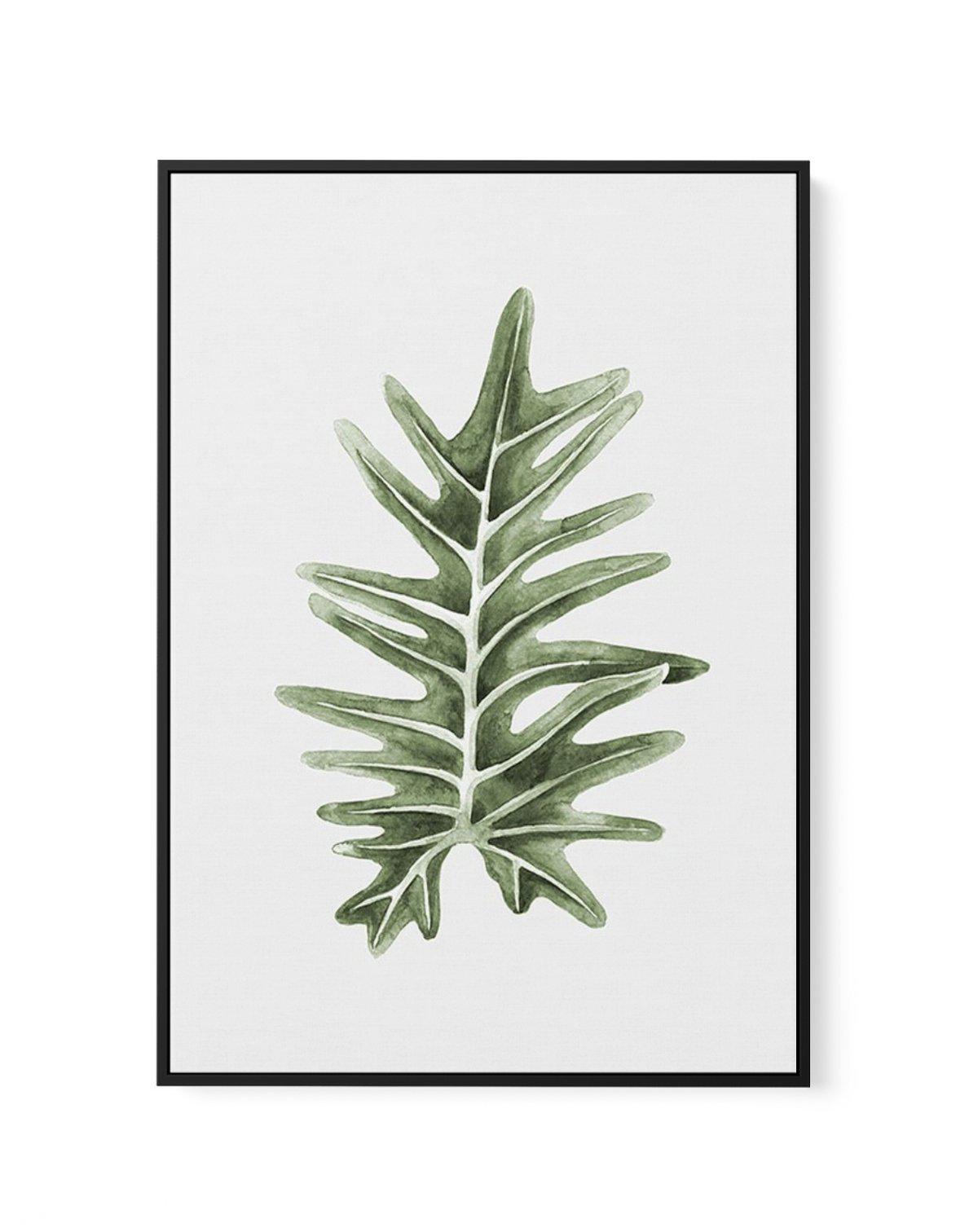 Philodenron Palm | Framed Canvas-CANVAS-You can shop wall art online with Olive et Oriel for everything from abstract art to fun kids wall art. Our beautiful modern art prints and canvas art are available from large canvas prints to wall art paintings and our proudly Australian artwork collection offers only the highest quality framed large wall art and canvas art Australia - You can buy fashion photography prints or Hampton print posters and paintings on canvas from Olive et Oriel and have them