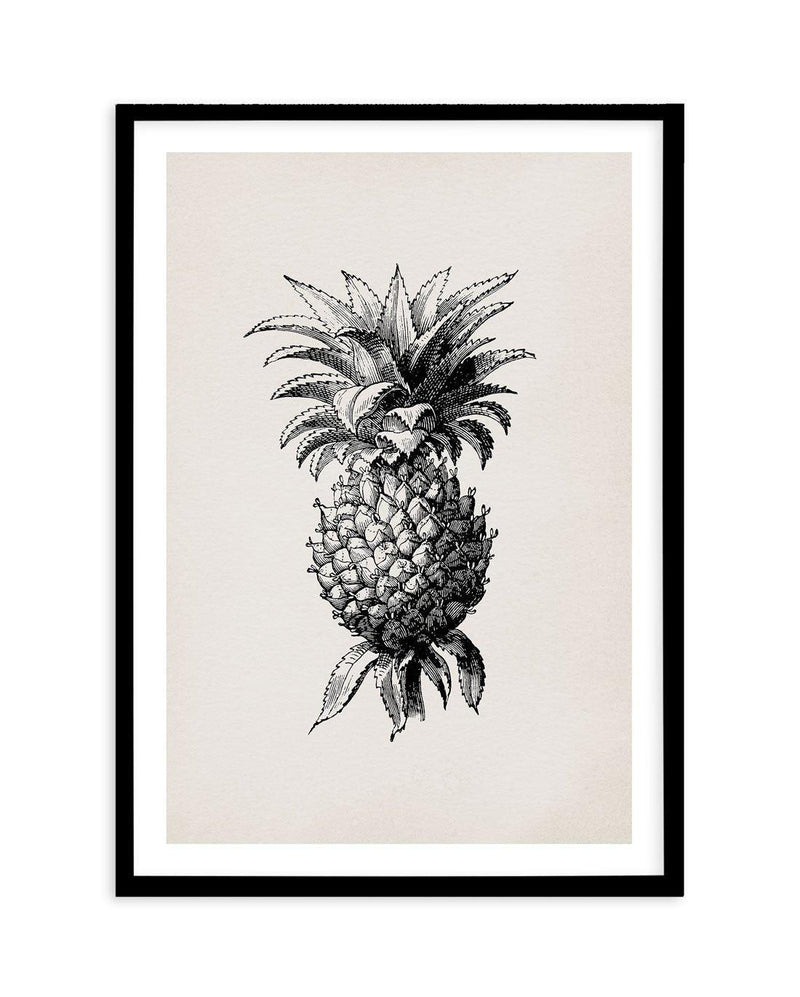 Pineapple Illustration Art Print-PRINT-Olive et Oriel-Olive et Oriel-A5 | 5.8" x 8.3" | 14.8 x 21cm-Black-With White Border-Buy-Australian-Art-Prints-Online-with-Olive-et-Oriel-Your-Artwork-Specialists-Austrailia-Decorate-With-Coastal-Photo-Wall-Art-Prints-From-Our-Beach-House-Artwork-Collection-Fine-Poster-and-Framed-Artwork