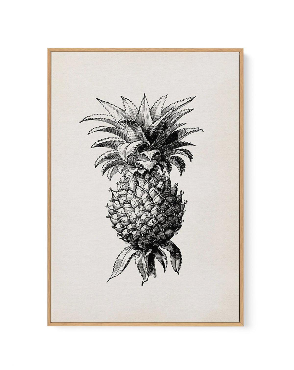 Pineapple Illustration | Framed Canvas-CANVAS-You can shop wall art online with Olive et Oriel for everything from abstract art to fun kids wall art. Our beautiful modern art prints and canvas art are available from large canvas prints to wall art paintings and our proudly Australian artwork collection offers only the highest quality framed large wall art and canvas art Australia - You can buy fashion photography prints or Hampton print posters and paintings on canvas from Olive et Oriel and hav