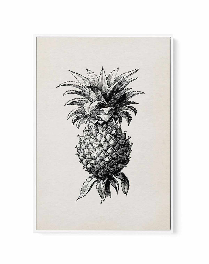 Pineapple No. 6 - Fruit Line Art - Black & White - Printable Wall Art –  Happy Cat Prints