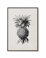 Pineapple Illustration | Framed Canvas-CANVAS-You can shop wall art online with Olive et Oriel for everything from abstract art to fun kids wall art. Our beautiful modern art prints and canvas art are available from large canvas prints to wall art paintings and our proudly Australian artwork collection offers only the highest quality framed large wall art and canvas art Australia - You can buy fashion photography prints or Hampton print posters and paintings on canvas from Olive et Oriel and hav