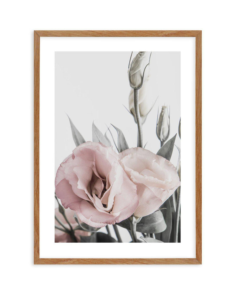 Pink Lisianthus I Art Print-PRINT-Olive et Oriel-Olive et Oriel-50x70 cm | 19.6" x 27.5"-Walnut-With White Border-Buy-Australian-Art-Prints-Online-with-Olive-et-Oriel-Your-Artwork-Specialists-Austrailia-Decorate-With-Coastal-Photo-Wall-Art-Prints-From-Our-Beach-House-Artwork-Collection-Fine-Poster-and-Framed-Artwork