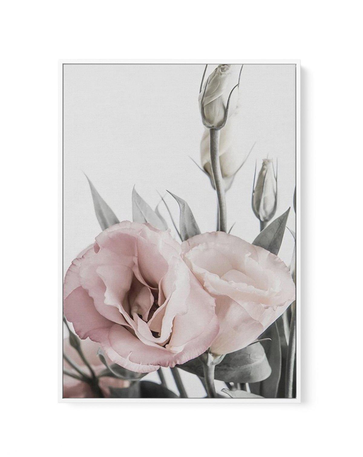 Pink Lisianthus I | Framed Canvas-CANVAS-You can shop wall art online with Olive et Oriel for everything from abstract art to fun kids wall art. Our beautiful modern art prints and canvas art are available from large canvas prints to wall art paintings and our proudly Australian artwork collection offers only the highest quality framed large wall art and canvas art Australia - You can buy fashion photography prints or Hampton print posters and paintings on canvas from Olive et Oriel and have the