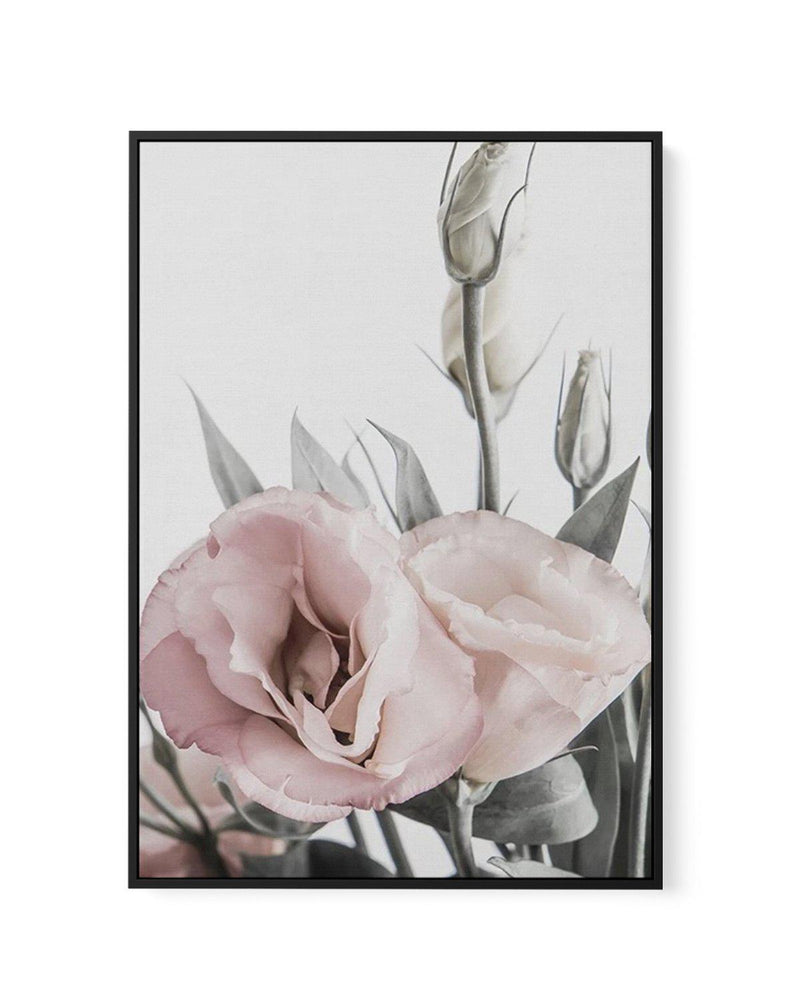 Pink Lisianthus I | Framed Canvas-CANVAS-You can shop wall art online with Olive et Oriel for everything from abstract art to fun kids wall art. Our beautiful modern art prints and canvas art are available from large canvas prints to wall art paintings and our proudly Australian artwork collection offers only the highest quality framed large wall art and canvas art Australia - You can buy fashion photography prints or Hampton print posters and paintings on canvas from Olive et Oriel and have the