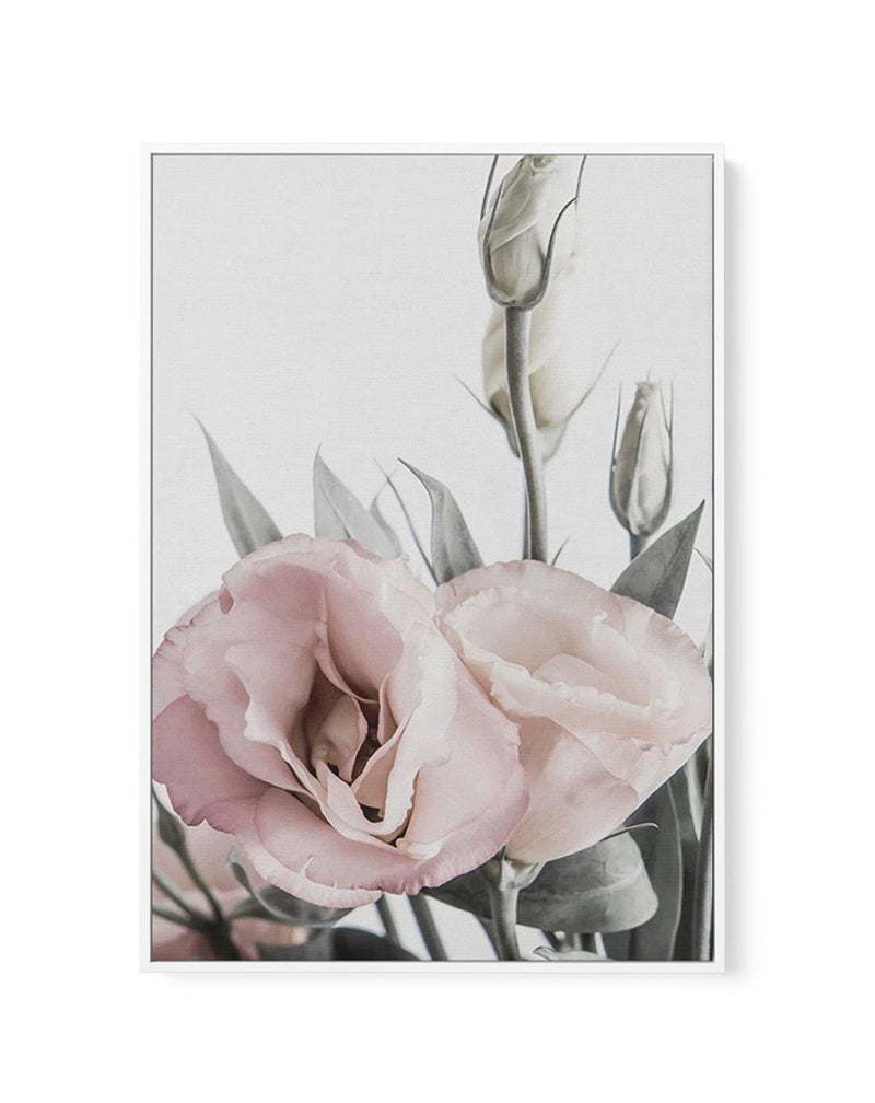 Pink Lisianthus I | Framed Canvas-CANVAS-You can shop wall art online with Olive et Oriel for everything from abstract art to fun kids wall art. Our beautiful modern art prints and canvas art are available from large canvas prints to wall art paintings and our proudly Australian artwork collection offers only the highest quality framed large wall art and canvas art Australia - You can buy fashion photography prints or Hampton print posters and paintings on canvas from Olive et Oriel and have the