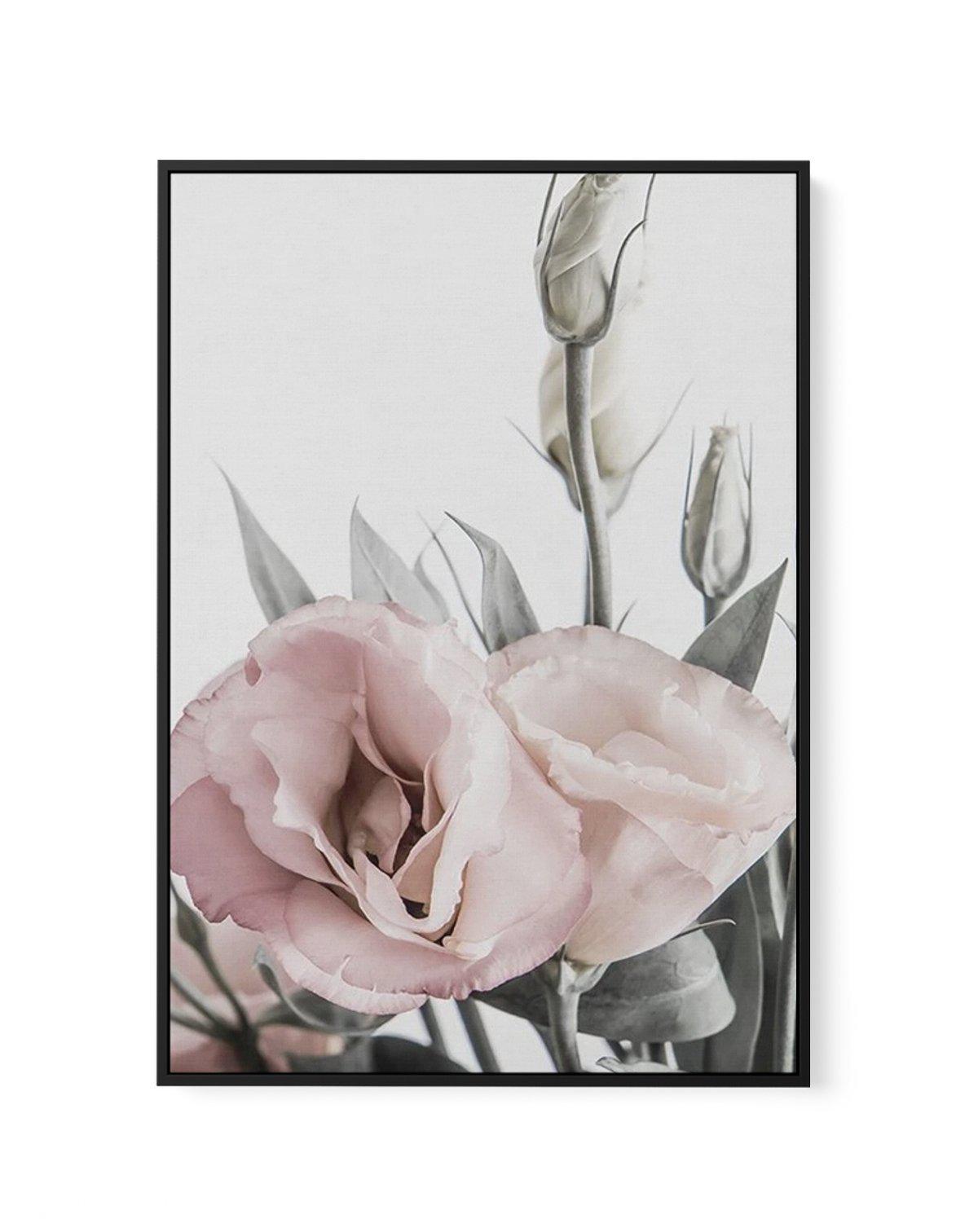 Pink Lisianthus I | Framed Canvas-CANVAS-You can shop wall art online with Olive et Oriel for everything from abstract art to fun kids wall art. Our beautiful modern art prints and canvas art are available from large canvas prints to wall art paintings and our proudly Australian artwork collection offers only the highest quality framed large wall art and canvas art Australia - You can buy fashion photography prints or Hampton print posters and paintings on canvas from Olive et Oriel and have the