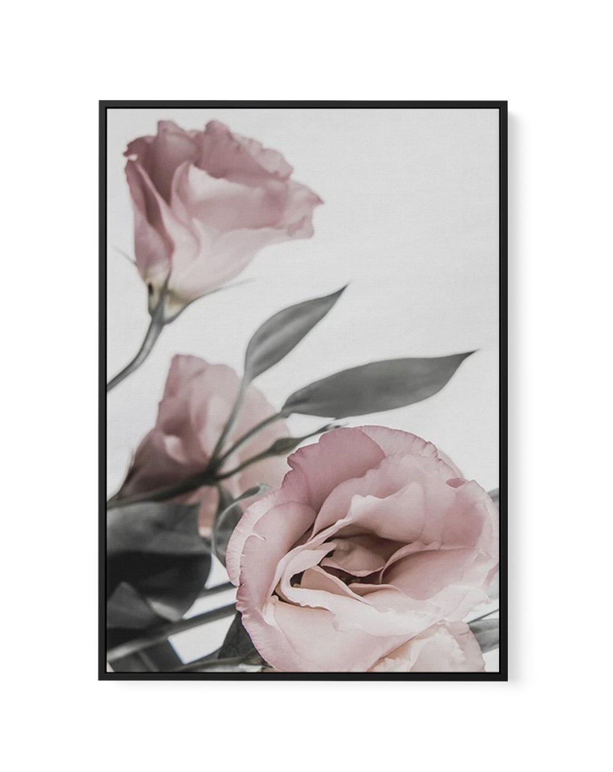 Pink Lisianthus II | Framed Canvas-CANVAS-You can shop wall art online with Olive et Oriel for everything from abstract art to fun kids wall art. Our beautiful modern art prints and canvas art are available from large canvas prints to wall art paintings and our proudly Australian artwork collection offers only the highest quality framed large wall art and canvas art Australia - You can buy fashion photography prints or Hampton print posters and paintings on canvas from Olive et Oriel and have th