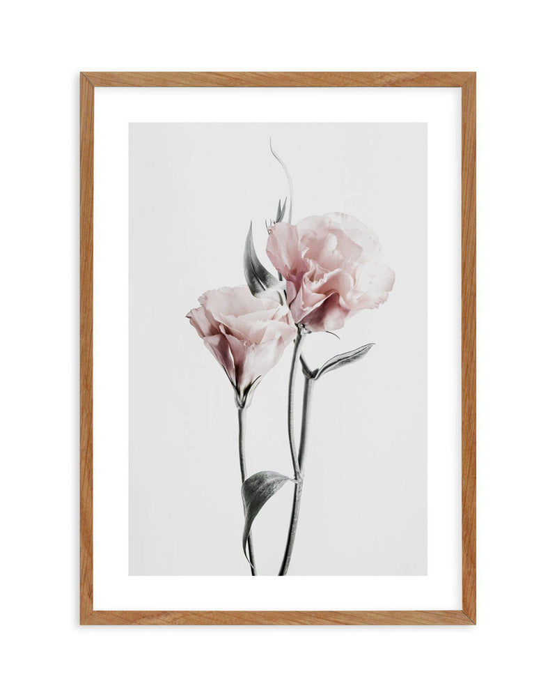 Pink Lisianthus III Art Print-PRINT-Olive et Oriel-Olive et Oriel-50x70 cm | 19.6" x 27.5"-Walnut-With White Border-Buy-Australian-Art-Prints-Online-with-Olive-et-Oriel-Your-Artwork-Specialists-Austrailia-Decorate-With-Coastal-Photo-Wall-Art-Prints-From-Our-Beach-House-Artwork-Collection-Fine-Poster-and-Framed-Artwork