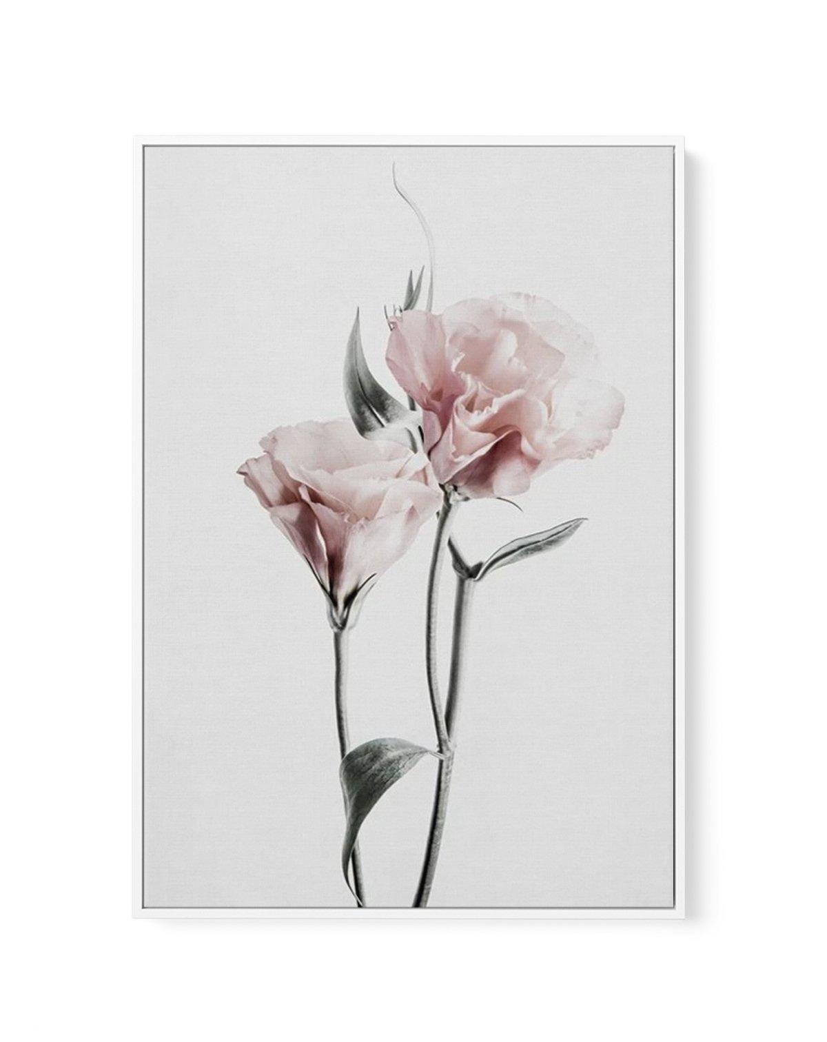 Pink Lisianthus III | Framed Canvas-CANVAS-You can shop wall art online with Olive et Oriel for everything from abstract art to fun kids wall art. Our beautiful modern art prints and canvas art are available from large canvas prints to wall art paintings and our proudly Australian artwork collection offers only the highest quality framed large wall art and canvas art Australia - You can buy fashion photography prints or Hampton print posters and paintings on canvas from Olive et Oriel and have t