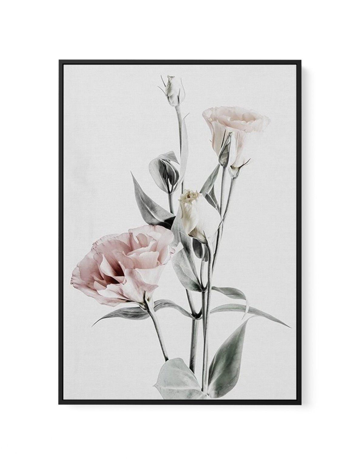 Pink Lisianthus IV | Framed Canvas-CANVAS-You can shop wall art online with Olive et Oriel for everything from abstract art to fun kids wall art. Our beautiful modern art prints and canvas art are available from large canvas prints to wall art paintings and our proudly Australian artwork collection offers only the highest quality framed large wall art and canvas art Australia - You can buy fashion photography prints or Hampton print posters and paintings on canvas from Olive et Oriel and have th