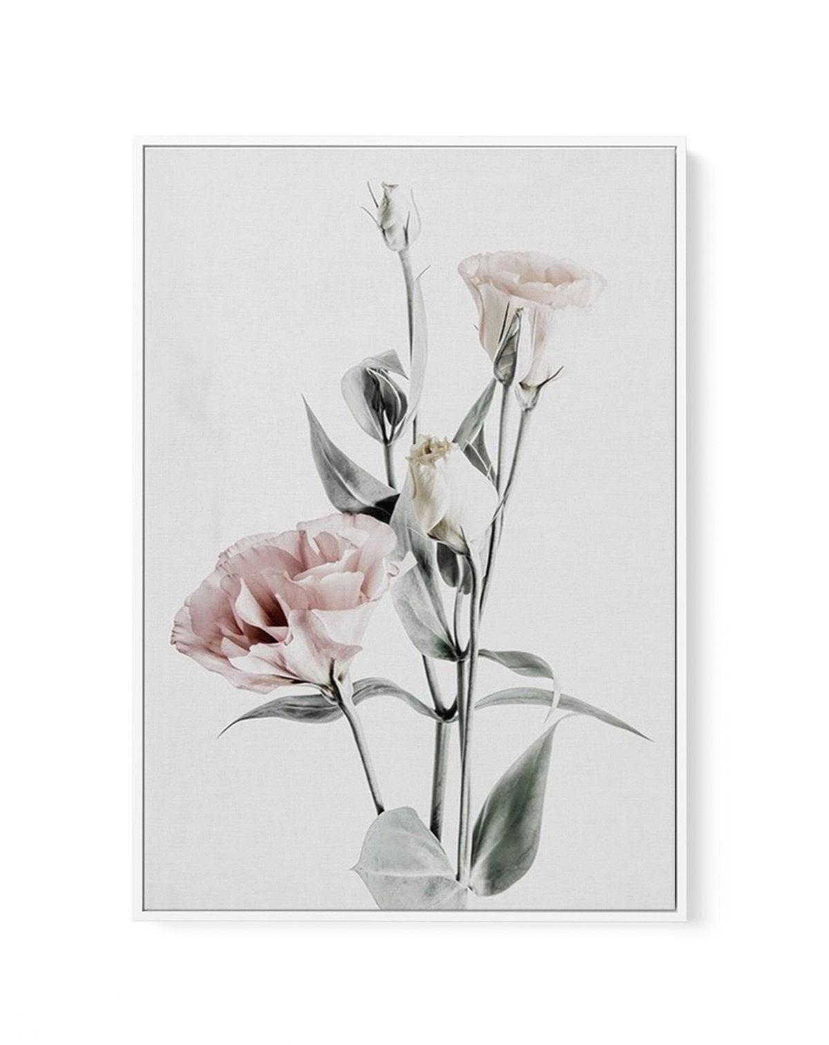 Pink Lisianthus IV | Framed Canvas-CANVAS-You can shop wall art online with Olive et Oriel for everything from abstract art to fun kids wall art. Our beautiful modern art prints and canvas art are available from large canvas prints to wall art paintings and our proudly Australian artwork collection offers only the highest quality framed large wall art and canvas art Australia - You can buy fashion photography prints or Hampton print posters and paintings on canvas from Olive et Oriel and have th