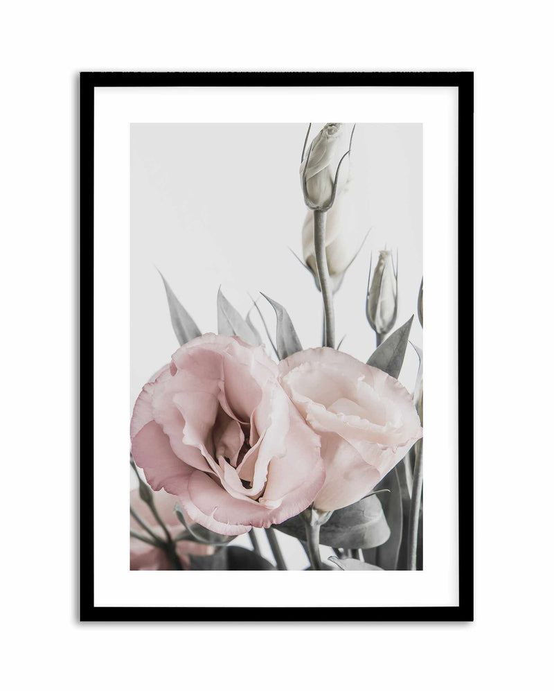 Pink Lisianthus I Art Print-PRINT-Olive et Oriel-Olive et Oriel-A4 | 8.3" x 11.7" | 21 x 29.7cm-Black-With White Border-Buy-Australian-Art-Prints-Online-with-Olive-et-Oriel-Your-Artwork-Specialists-Austrailia-Decorate-With-Coastal-Photo-Wall-Art-Prints-From-Our-Beach-House-Artwork-Collection-Fine-Poster-and-Framed-Artwork