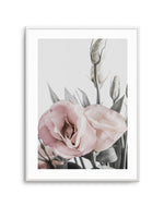 Pink Lisianthus I Art Print-PRINT-Olive et Oriel-Olive et Oriel-A4 | 8.3" x 11.7" | 21 x 29.7cm-Unframed Art Print-With White Border-Buy-Australian-Art-Prints-Online-with-Olive-et-Oriel-Your-Artwork-Specialists-Austrailia-Decorate-With-Coastal-Photo-Wall-Art-Prints-From-Our-Beach-House-Artwork-Collection-Fine-Poster-and-Framed-Artwork