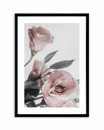Pink Lisianthus II Art Print-PRINT-Olive et Oriel-Olive et Oriel-A4 | 8.3" x 11.7" | 21 x 29.7cm-Black-With White Border-Buy-Australian-Art-Prints-Online-with-Olive-et-Oriel-Your-Artwork-Specialists-Austrailia-Decorate-With-Coastal-Photo-Wall-Art-Prints-From-Our-Beach-House-Artwork-Collection-Fine-Poster-and-Framed-Artwork