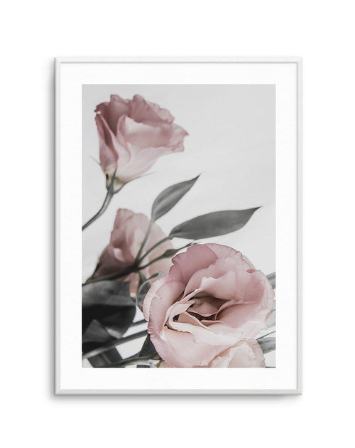 Pink Lisianthus II Art Print-PRINT-Olive et Oriel-Olive et Oriel-A4 | 8.3" x 11.7" | 21 x 29.7cm-Unframed Art Print-With White Border-Buy-Australian-Art-Prints-Online-with-Olive-et-Oriel-Your-Artwork-Specialists-Austrailia-Decorate-With-Coastal-Photo-Wall-Art-Prints-From-Our-Beach-House-Artwork-Collection-Fine-Poster-and-Framed-Artwork