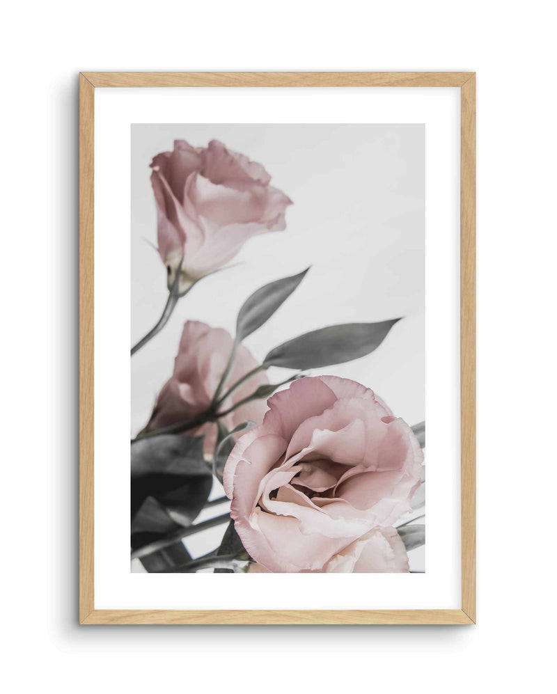 Pink Lisianthus II Art Print-PRINT-Olive et Oriel-Olive et Oriel-A4 | 8.3" x 11.7" | 21 x 29.7cm-Oak-With White Border-Buy-Australian-Art-Prints-Online-with-Olive-et-Oriel-Your-Artwork-Specialists-Austrailia-Decorate-With-Coastal-Photo-Wall-Art-Prints-From-Our-Beach-House-Artwork-Collection-Fine-Poster-and-Framed-Artwork