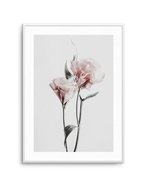 Pink Lisianthus III Art Print-PRINT-Olive et Oriel-Olive et Oriel-A4 | 8.3" x 11.7" | 21 x 29.7cm-Unframed Art Print-With White Border-Buy-Australian-Art-Prints-Online-with-Olive-et-Oriel-Your-Artwork-Specialists-Austrailia-Decorate-With-Coastal-Photo-Wall-Art-Prints-From-Our-Beach-House-Artwork-Collection-Fine-Poster-and-Framed-Artwork