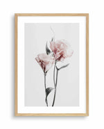 Pink Lisianthus III Art Print-PRINT-Olive et Oriel-Olive et Oriel-A4 | 8.3" x 11.7" | 21 x 29.7cm-Oak-With White Border-Buy-Australian-Art-Prints-Online-with-Olive-et-Oriel-Your-Artwork-Specialists-Austrailia-Decorate-With-Coastal-Photo-Wall-Art-Prints-From-Our-Beach-House-Artwork-Collection-Fine-Poster-and-Framed-Artwork