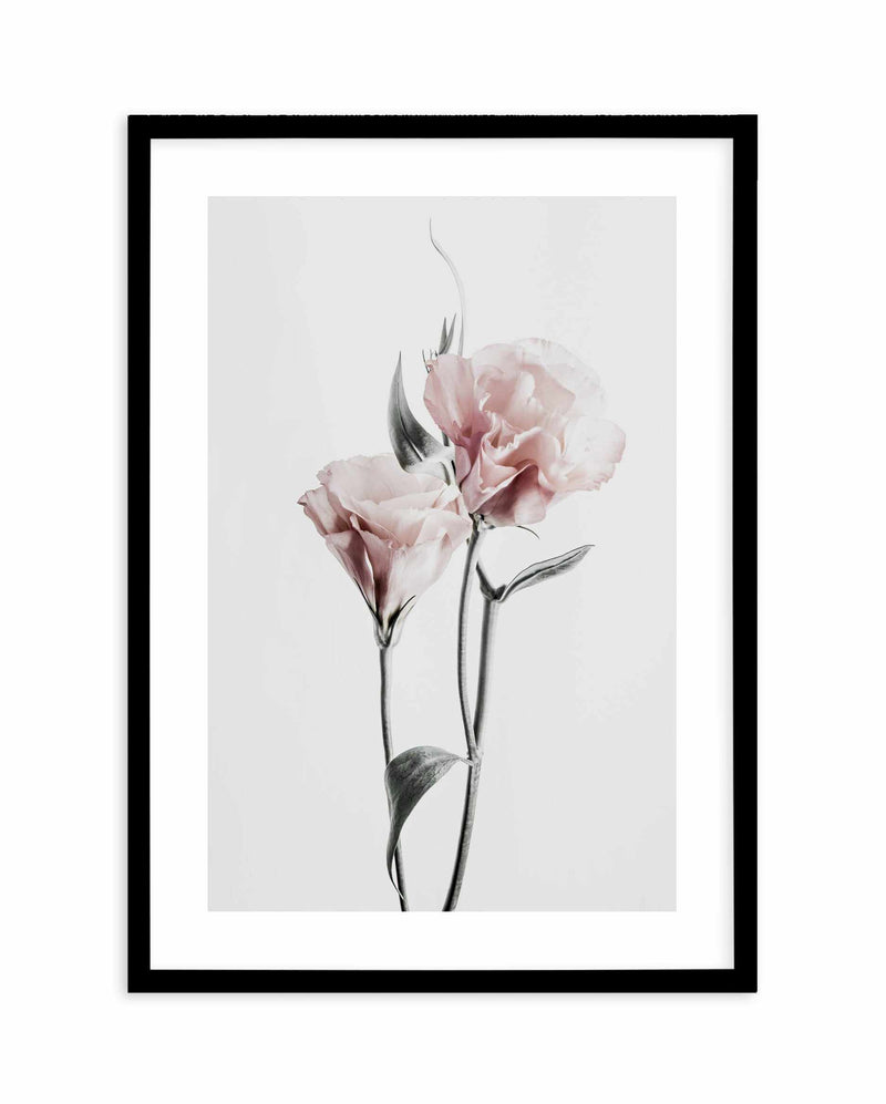Pink Lisianthus III Art Print-PRINT-Olive et Oriel-Olive et Oriel-A4 | 8.3" x 11.7" | 21 x 29.7cm-Black-With White Border-Buy-Australian-Art-Prints-Online-with-Olive-et-Oriel-Your-Artwork-Specialists-Austrailia-Decorate-With-Coastal-Photo-Wall-Art-Prints-From-Our-Beach-House-Artwork-Collection-Fine-Poster-and-Framed-Artwork