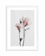 Pink Lisianthus III Art Print-PRINT-Olive et Oriel-Olive et Oriel-A4 | 8.3" x 11.7" | 21 x 29.7cm-White-With White Border-Buy-Australian-Art-Prints-Online-with-Olive-et-Oriel-Your-Artwork-Specialists-Austrailia-Decorate-With-Coastal-Photo-Wall-Art-Prints-From-Our-Beach-House-Artwork-Collection-Fine-Poster-and-Framed-Artwork