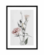 Pink Lisianthus IV Art Print-PRINT-Olive et Oriel-Olive et Oriel-A4 | 8.3" x 11.7" | 21 x 29.7cm-Black-With White Border-Buy-Australian-Art-Prints-Online-with-Olive-et-Oriel-Your-Artwork-Specialists-Austrailia-Decorate-With-Coastal-Photo-Wall-Art-Prints-From-Our-Beach-House-Artwork-Collection-Fine-Poster-and-Framed-Artwork