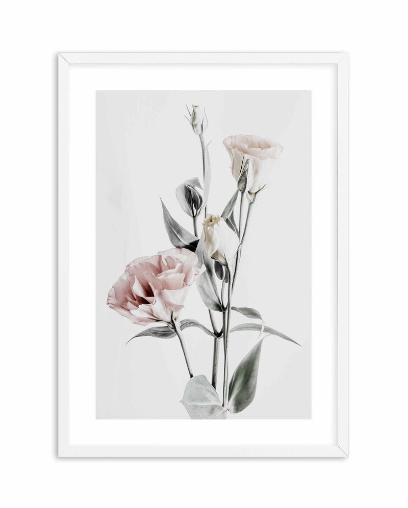 Pink Lisianthus IV Art Print-PRINT-Olive et Oriel-Olive et Oriel-A4 | 8.3" x 11.7" | 21 x 29.7cm-White-With White Border-Buy-Australian-Art-Prints-Online-with-Olive-et-Oriel-Your-Artwork-Specialists-Austrailia-Decorate-With-Coastal-Photo-Wall-Art-Prints-From-Our-Beach-House-Artwork-Collection-Fine-Poster-and-Framed-Artwork