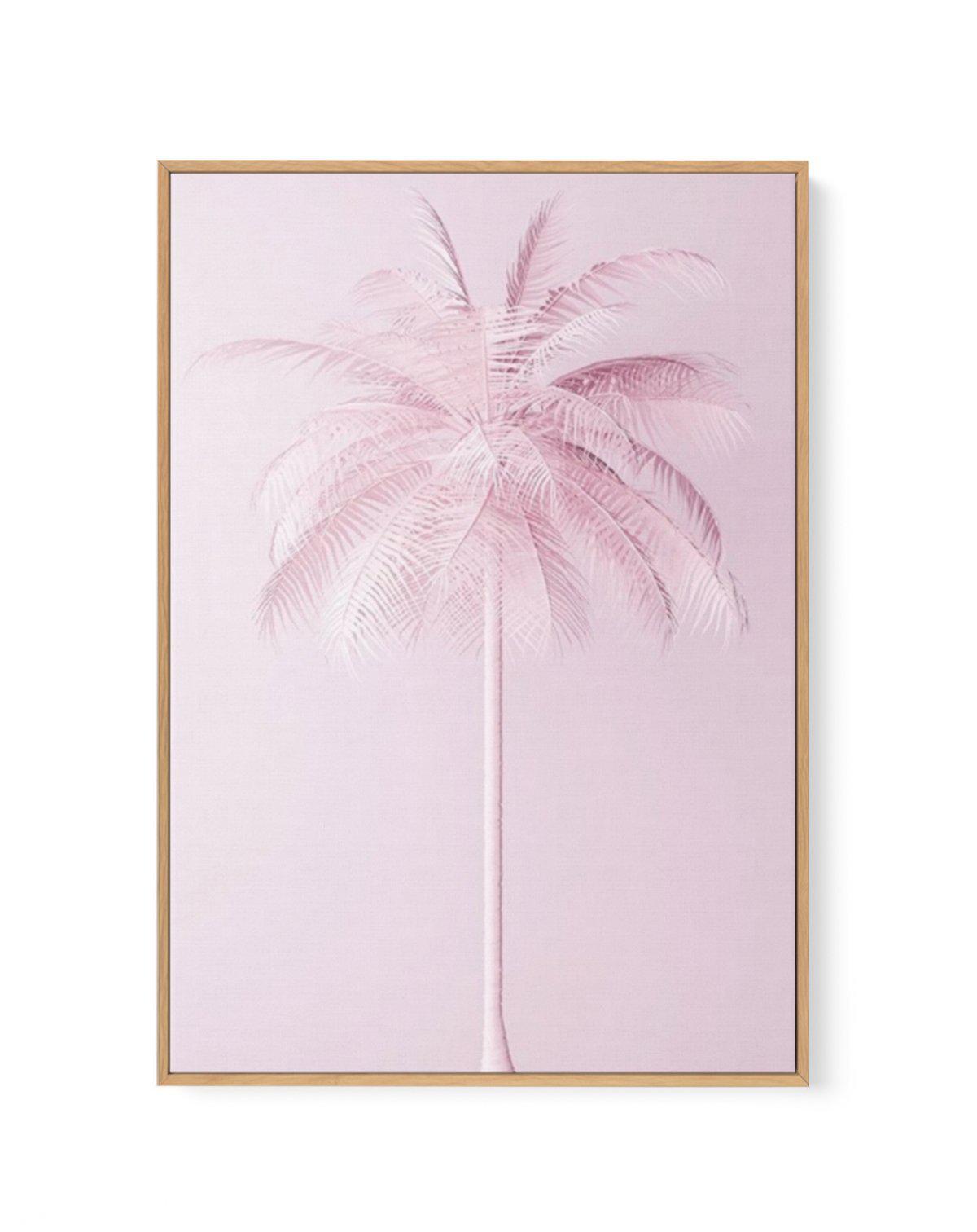 Pink Palm | Framed Canvas-CANVAS-You can shop wall art online with Olive et Oriel for everything from abstract art to fun kids wall art. Our beautiful modern art prints and canvas art are available from large canvas prints to wall art paintings and our proudly Australian artwork collection offers only the highest quality framed large wall art and canvas art Australia - You can buy fashion photography prints or Hampton print posters and paintings on canvas from Olive et Oriel and have them delive