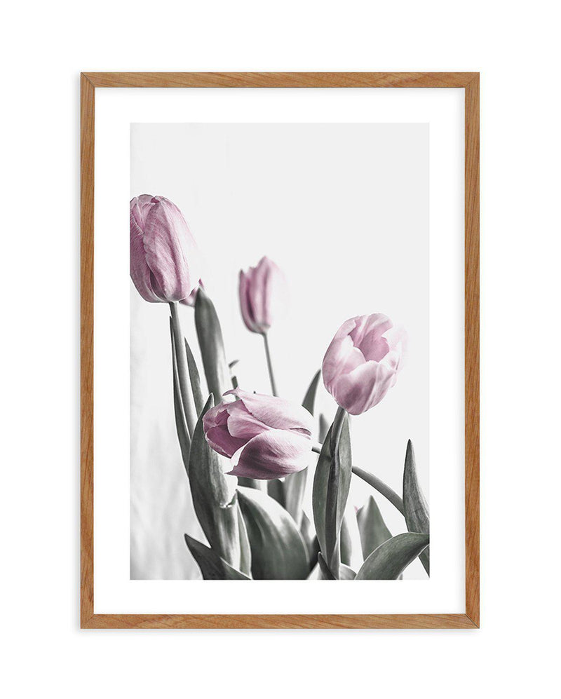 Pink Tulip Illustration III Art Print-PRINT-Olive et Oriel-Olive et Oriel-50x70 cm | 19.6" x 27.5"-Walnut-With White Border-Buy-Australian-Art-Prints-Online-with-Olive-et-Oriel-Your-Artwork-Specialists-Austrailia-Decorate-With-Coastal-Photo-Wall-Art-Prints-From-Our-Beach-House-Artwork-Collection-Fine-Poster-and-Framed-Artwork
