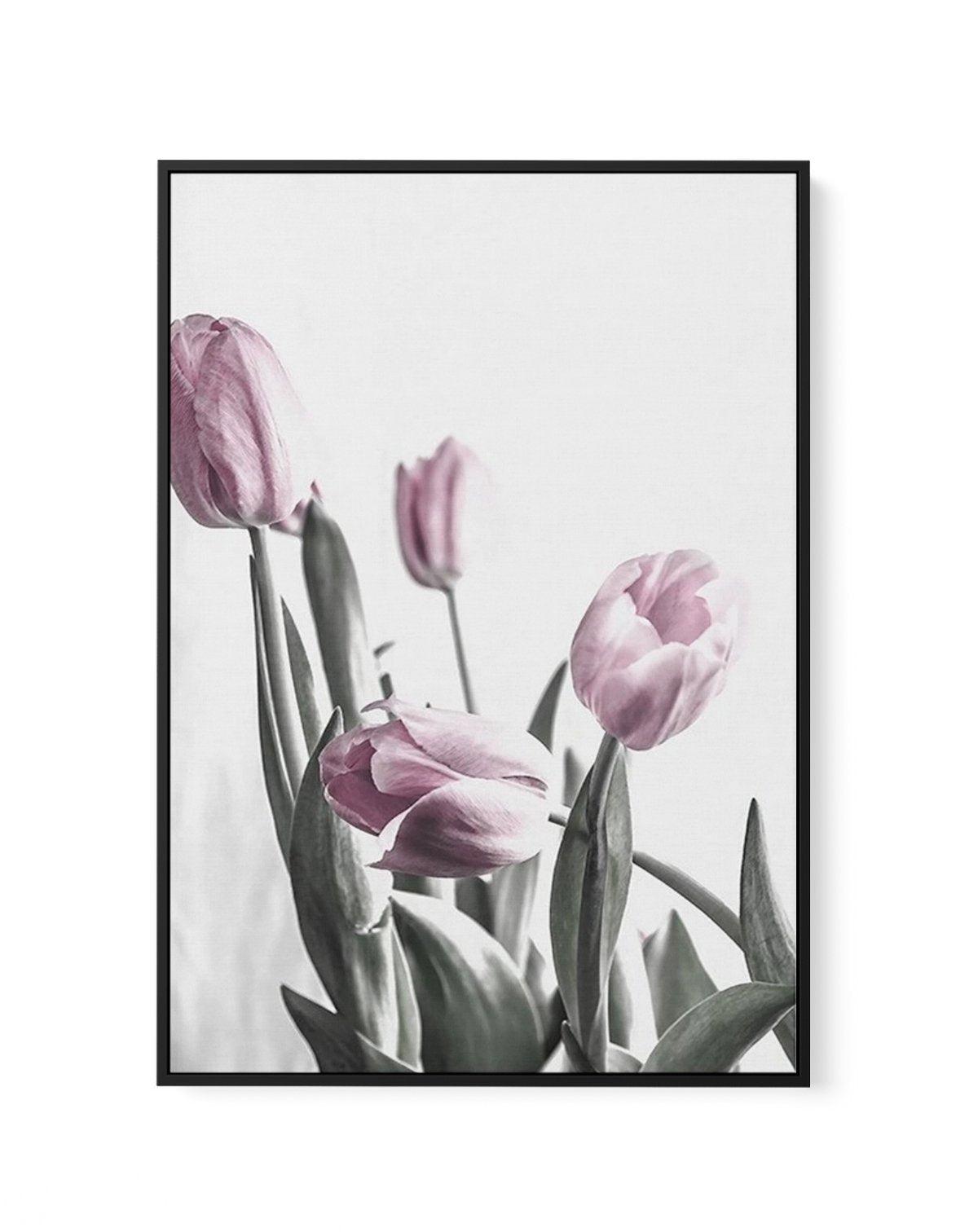 Pink Tulip Illustration III | Framed Canvas-CANVAS-You can shop wall art online with Olive et Oriel for everything from abstract art to fun kids wall art. Our beautiful modern art prints and canvas art are available from large canvas prints to wall art paintings and our proudly Australian artwork collection offers only the highest quality framed large wall art and canvas art Australia - You can buy fashion photography prints or Hampton print posters and paintings on canvas from Olive et Oriel an