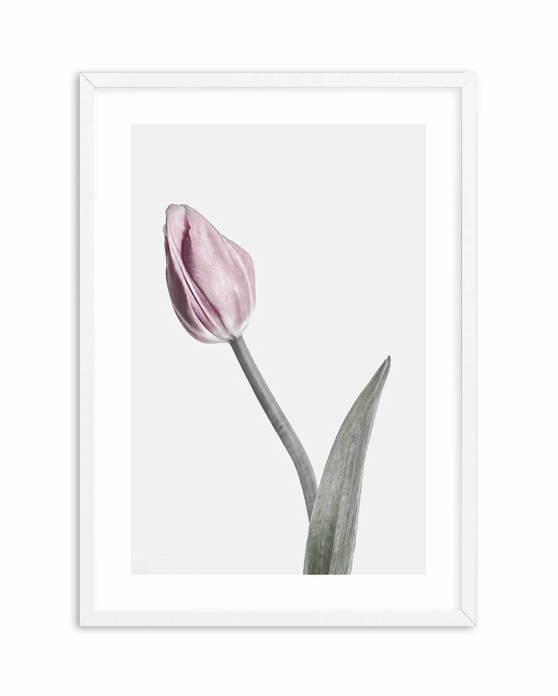 Pink Tulip Illustration I Art Print-PRINT-Olive et Oriel-Olive et Oriel-A4 | 8.3" x 11.7" | 21 x 29.7cm-White-With White Border-Buy-Australian-Art-Prints-Online-with-Olive-et-Oriel-Your-Artwork-Specialists-Austrailia-Decorate-With-Coastal-Photo-Wall-Art-Prints-From-Our-Beach-House-Artwork-Collection-Fine-Poster-and-Framed-Artwork