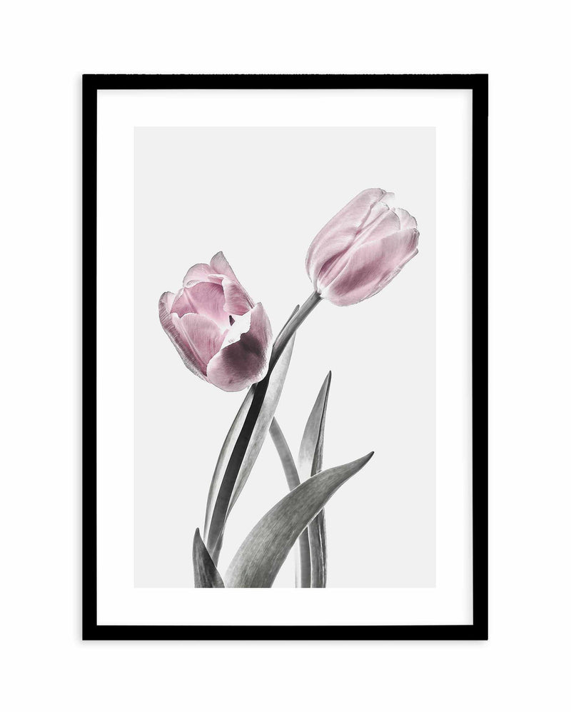 Pink Tulip Illustration II Art Print-PRINT-Olive et Oriel-Olive et Oriel-A4 | 8.3" x 11.7" | 21 x 29.7cm-Black-With White Border-Buy-Australian-Art-Prints-Online-with-Olive-et-Oriel-Your-Artwork-Specialists-Austrailia-Decorate-With-Coastal-Photo-Wall-Art-Prints-From-Our-Beach-House-Artwork-Collection-Fine-Poster-and-Framed-Artwork