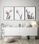 Pink Tulip Illustration II Art Print-PRINT-Olive et Oriel-Olive et Oriel-Buy-Australian-Art-Prints-Online-with-Olive-et-Oriel-Your-Artwork-Specialists-Austrailia-Decorate-With-Coastal-Photo-Wall-Art-Prints-From-Our-Beach-House-Artwork-Collection-Fine-Poster-and-Framed-Artwork