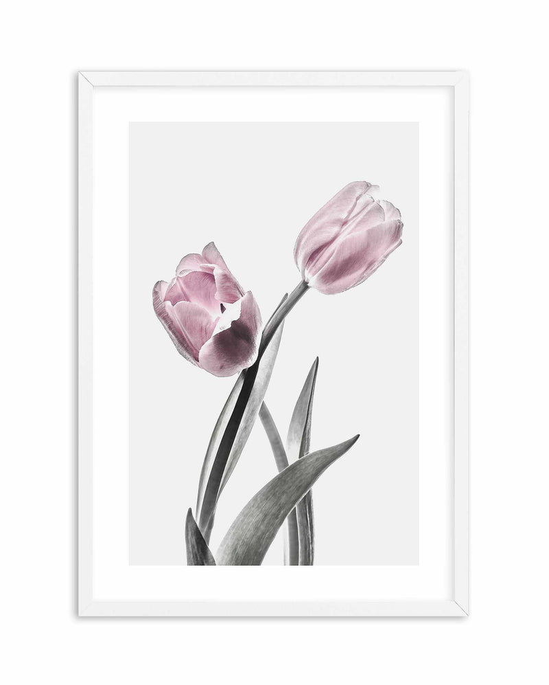 Pink Tulip Illustration II Art Print-PRINT-Olive et Oriel-Olive et Oriel-A4 | 8.3" x 11.7" | 21 x 29.7cm-White-With White Border-Buy-Australian-Art-Prints-Online-with-Olive-et-Oriel-Your-Artwork-Specialists-Austrailia-Decorate-With-Coastal-Photo-Wall-Art-Prints-From-Our-Beach-House-Artwork-Collection-Fine-Poster-and-Framed-Artwork