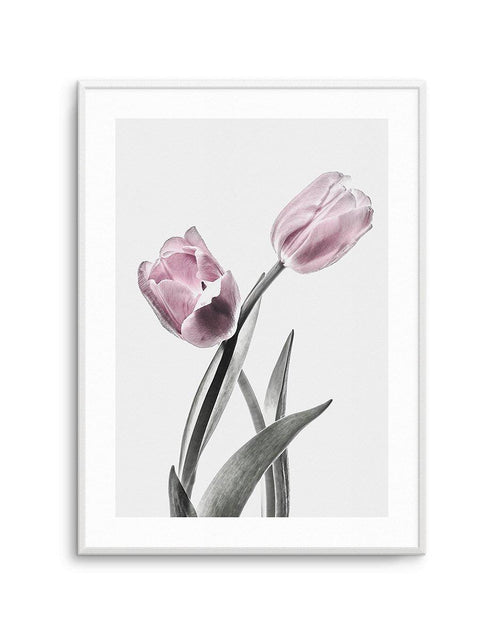 Pink Tulip Illustration II Art Print-PRINT-Olive et Oriel-Olive et Oriel-A4 | 8.3" x 11.7" | 21 x 29.7cm-Unframed Art Print-With White Border-Buy-Australian-Art-Prints-Online-with-Olive-et-Oriel-Your-Artwork-Specialists-Austrailia-Decorate-With-Coastal-Photo-Wall-Art-Prints-From-Our-Beach-House-Artwork-Collection-Fine-Poster-and-Framed-Artwork