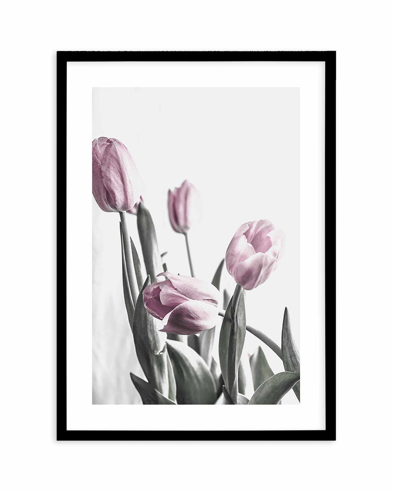 Pink Tulip Illustration III Art Print-PRINT-Olive et Oriel-Olive et Oriel-A4 | 8.3" x 11.7" | 21 x 29.7cm-Black-With White Border-Buy-Australian-Art-Prints-Online-with-Olive-et-Oriel-Your-Artwork-Specialists-Austrailia-Decorate-With-Coastal-Photo-Wall-Art-Prints-From-Our-Beach-House-Artwork-Collection-Fine-Poster-and-Framed-Artwork